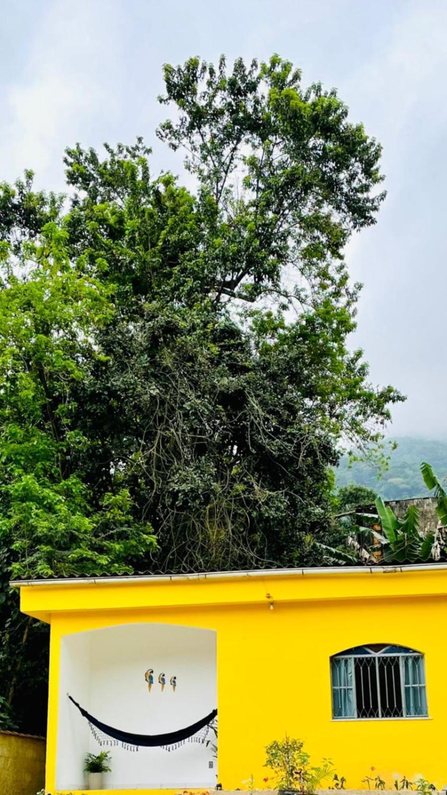 Carvalho De Paqueta * Rio de Janeiro